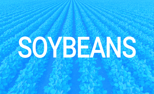 Soybeans